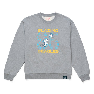 Snoopy Beagles Sweatshirt - Grey (GRY)
