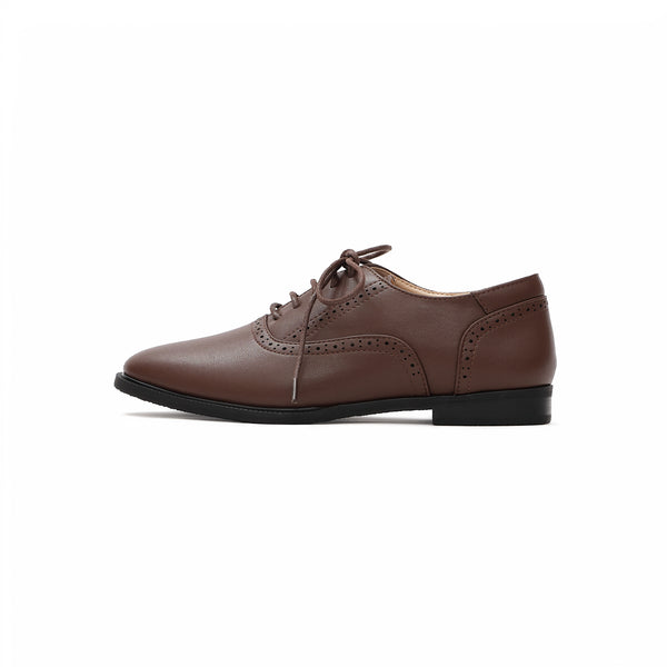 Kurve Brogue Oxfords - Chocolate (CHO)